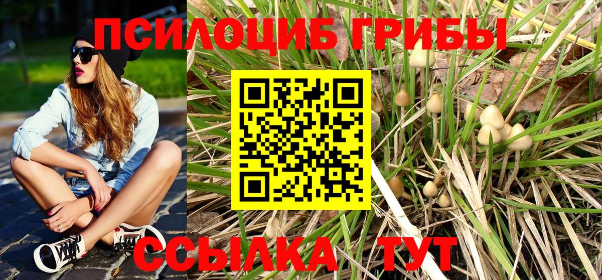 Галлюциногенные грибы мухоморы Брянск