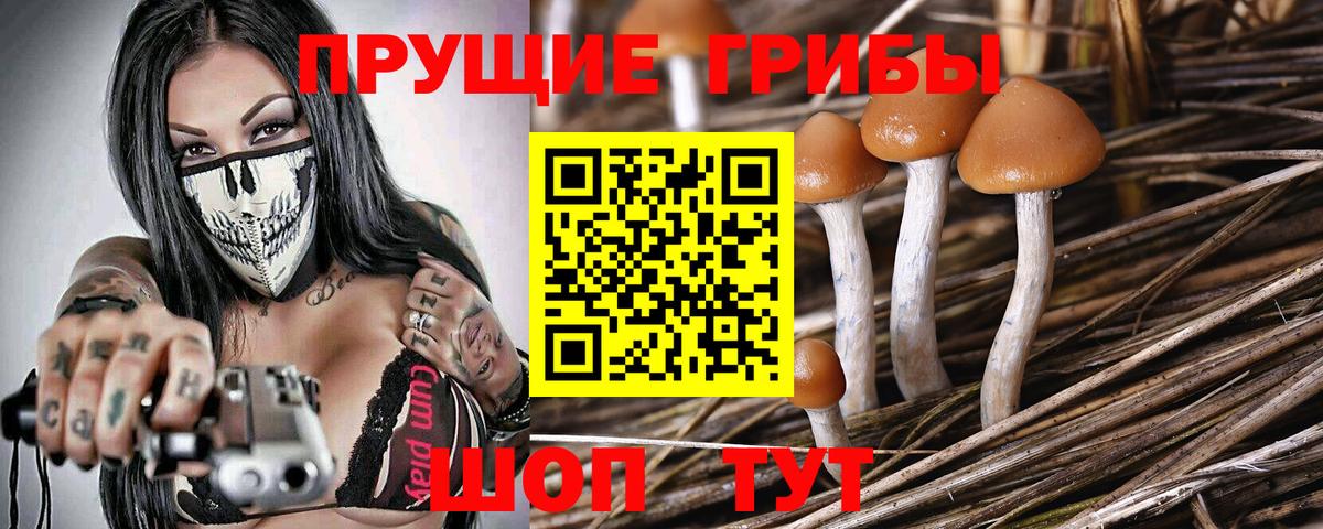 Псилоцибиновые грибы MAGIC MUSHROOMS  Вход с VPN  Брянск 